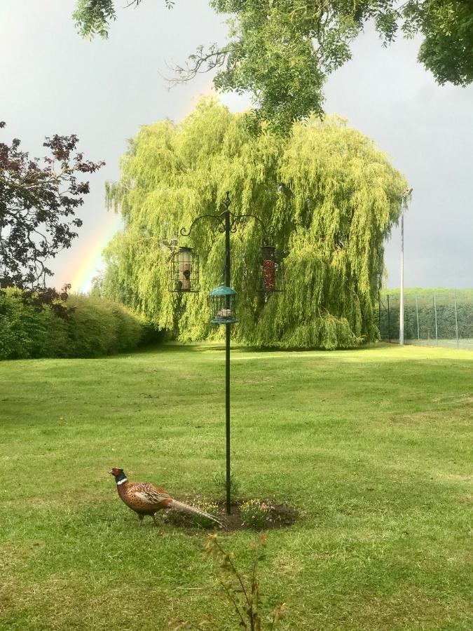 Charming Hen Cottage Countryside Retreat Lincoln Newball Eksteriør bilde